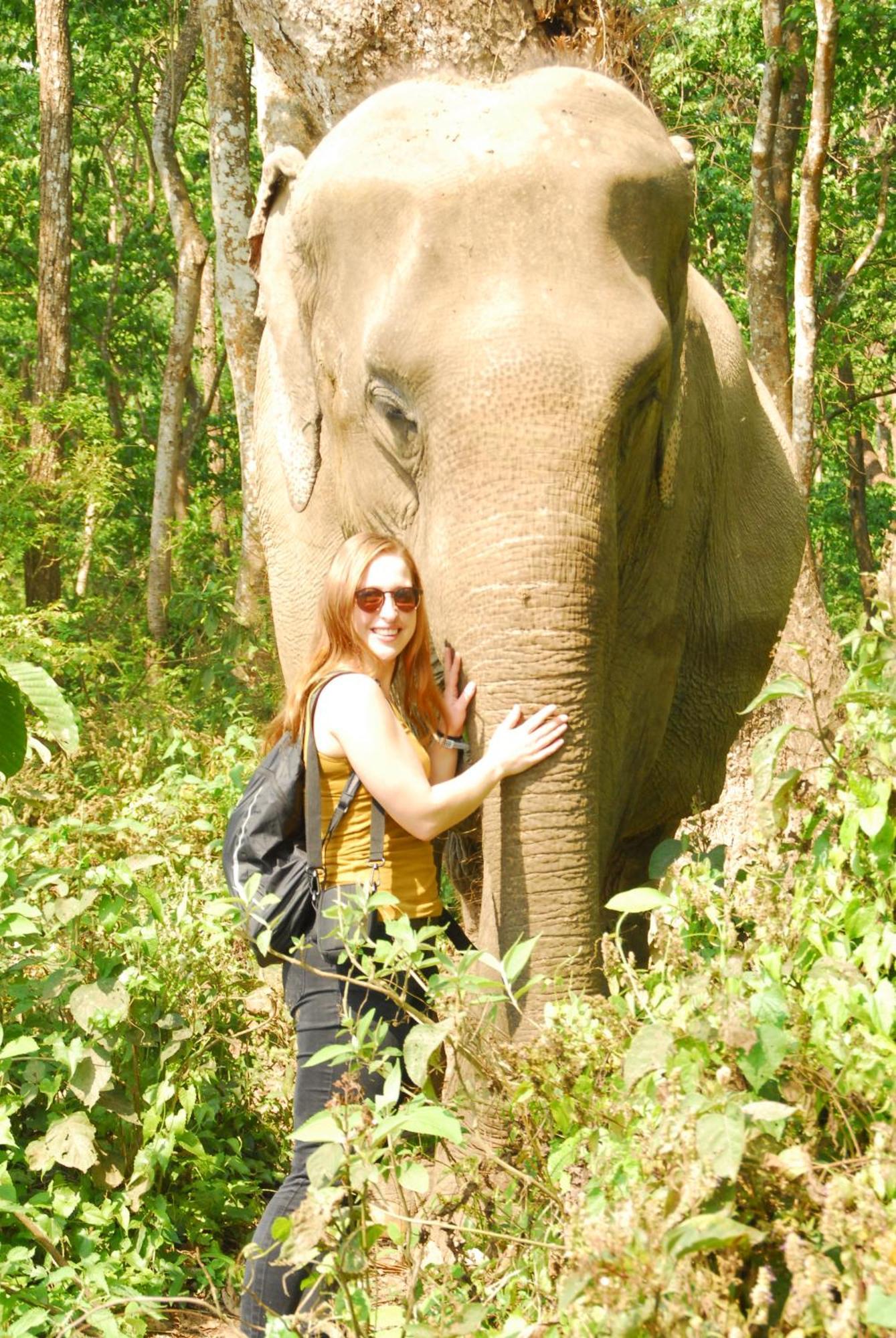 Hotel Garden Of Dreams Sauraha Exterior photo