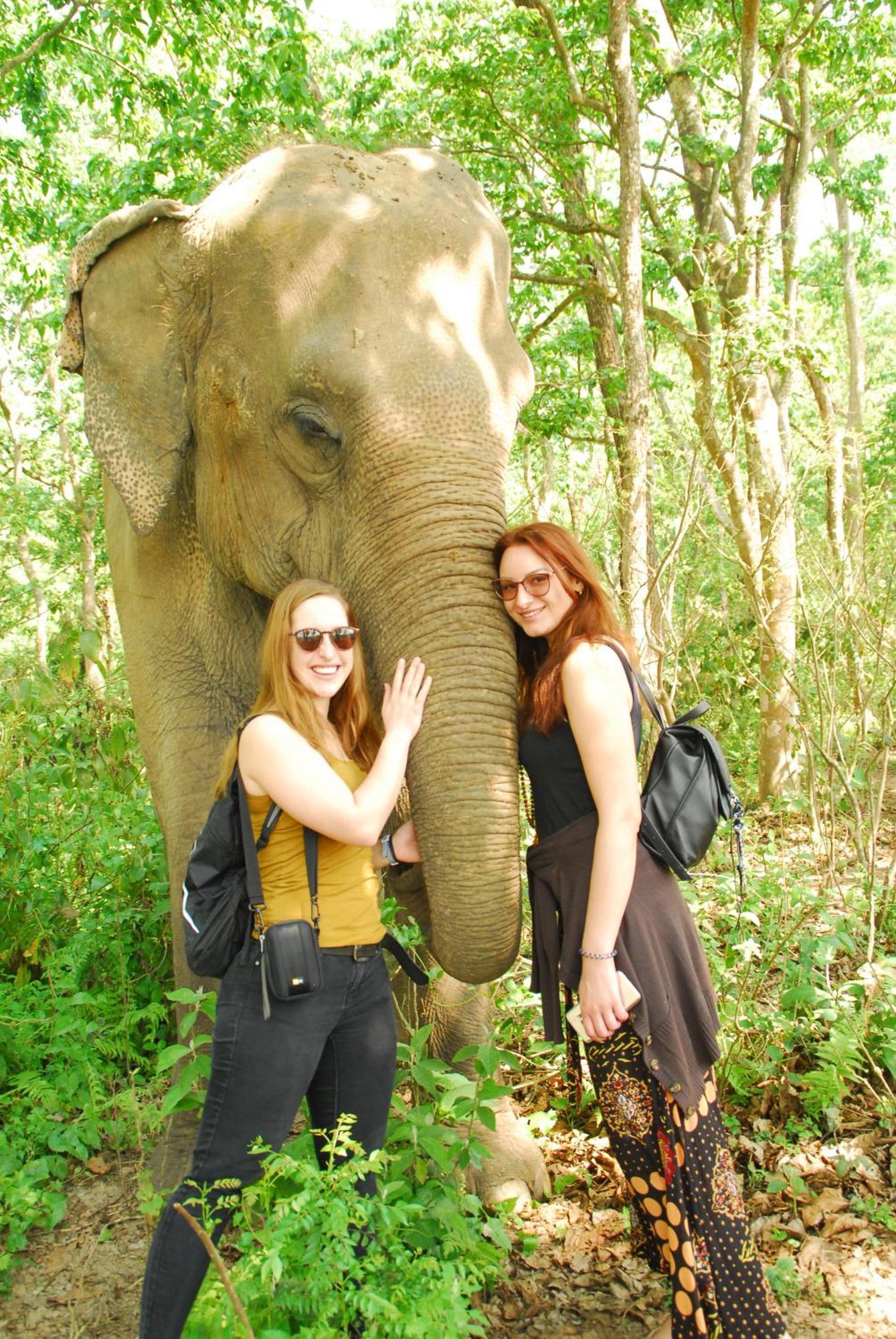 Hotel Garden Of Dreams Sauraha Exterior photo